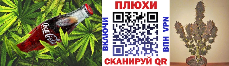 Купить где  Сухой Лог  Cannafood марихуана 